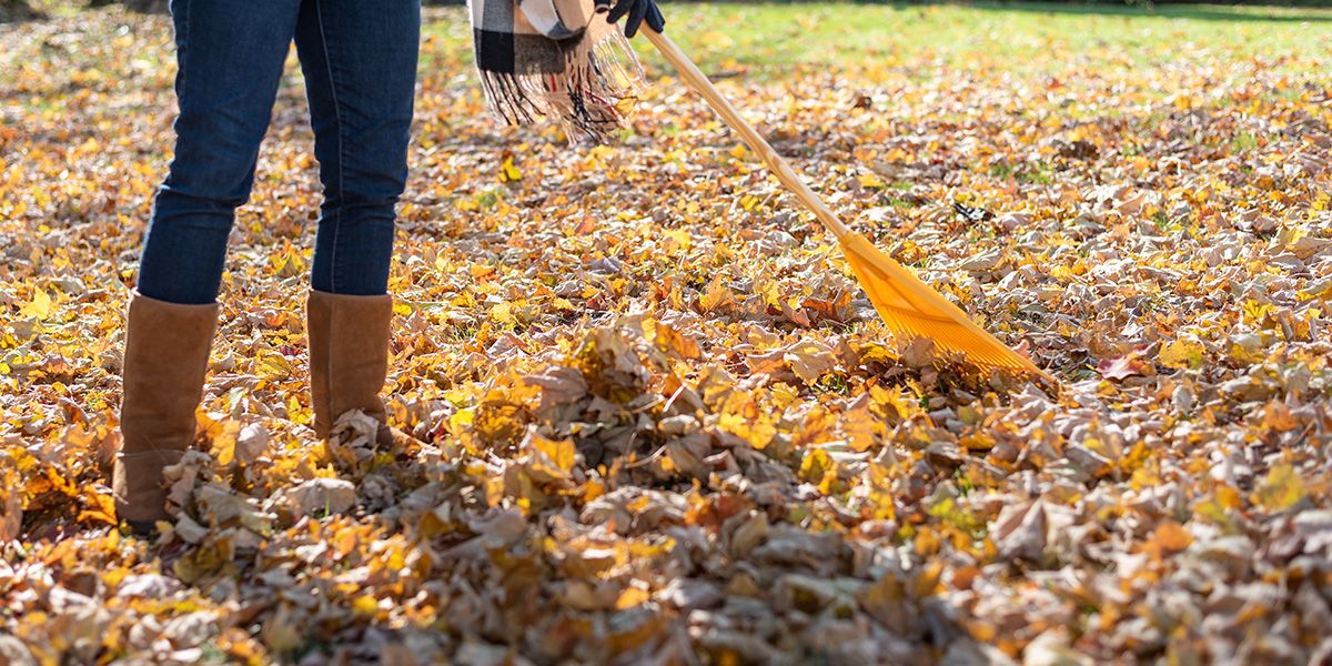 8 astuces pour faciliter le ramassage des feuilles mortes