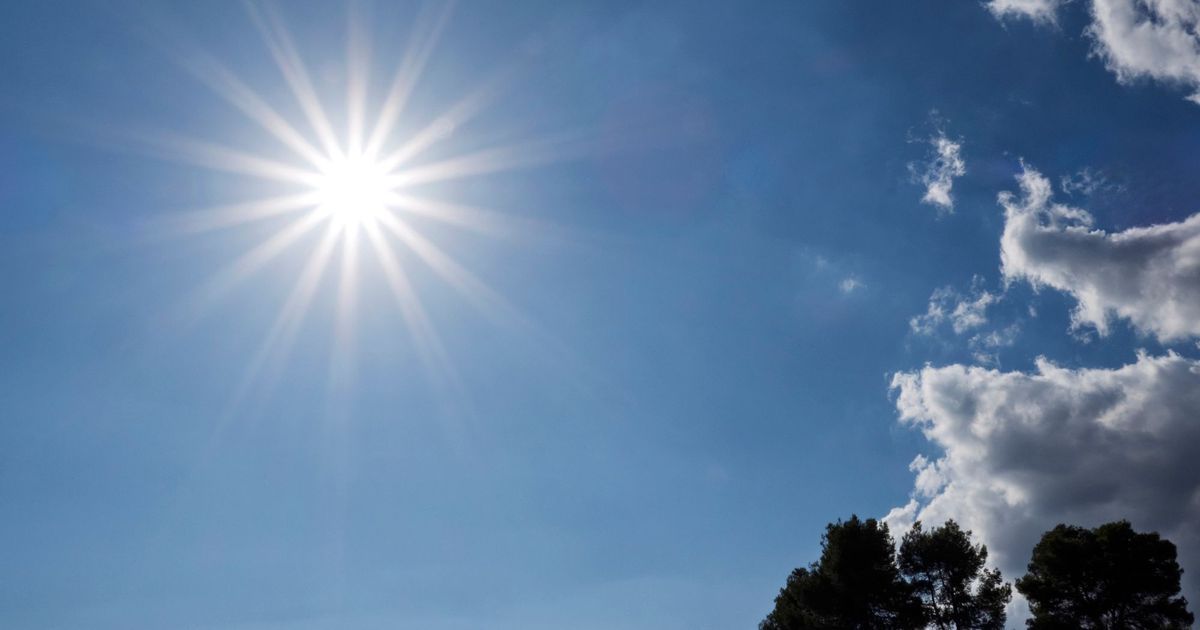 Une canicule record attendue en France : des températures alarmantes à l'horizon