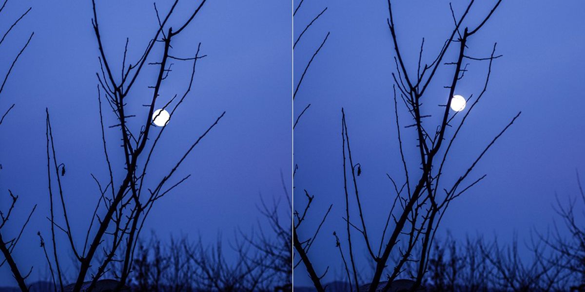Maximiser votre jardin avec la lune montante