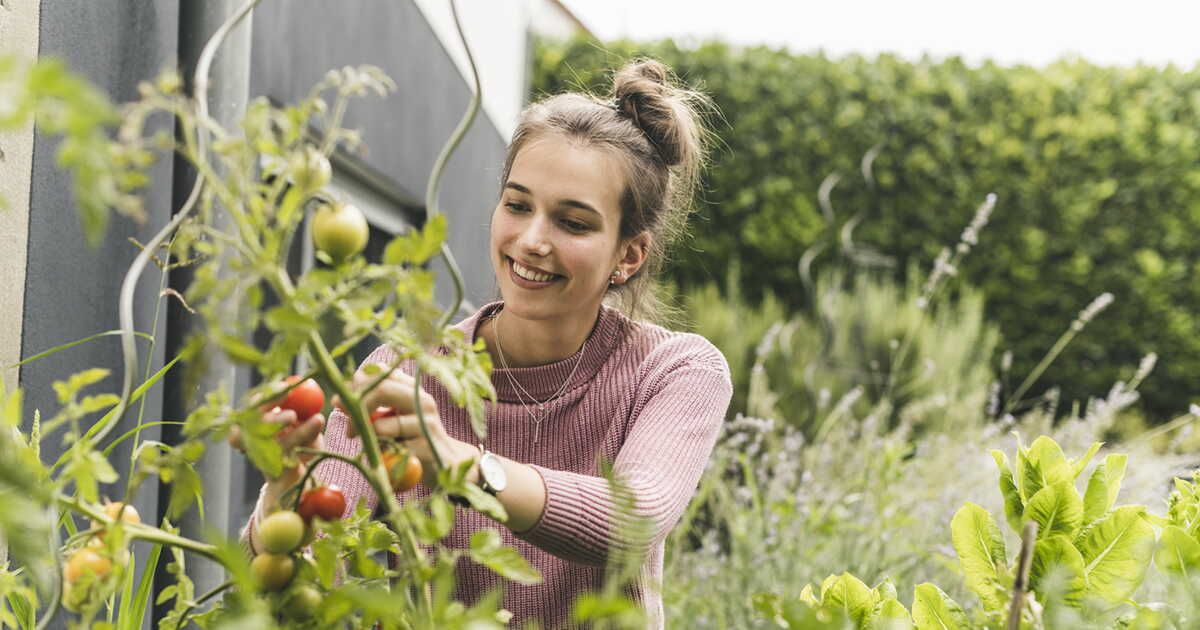 Calendrier pour jardiner avec la Lune en 2024 et 2025 : quelles sont les dates importantes ?
