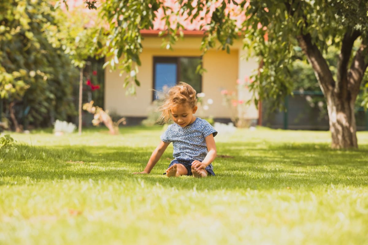 Un geste innocent qui menace votre jardin : attention aux pissenlits