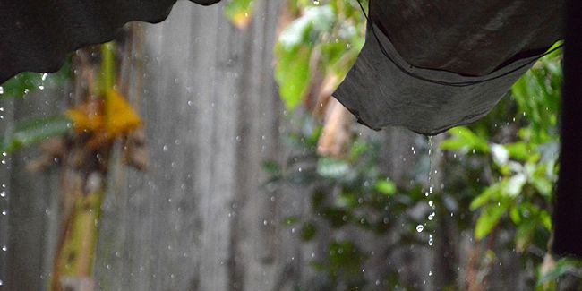 10 façons astucieuses de réutiliser l'eau de pluie dans votre maison et jardin