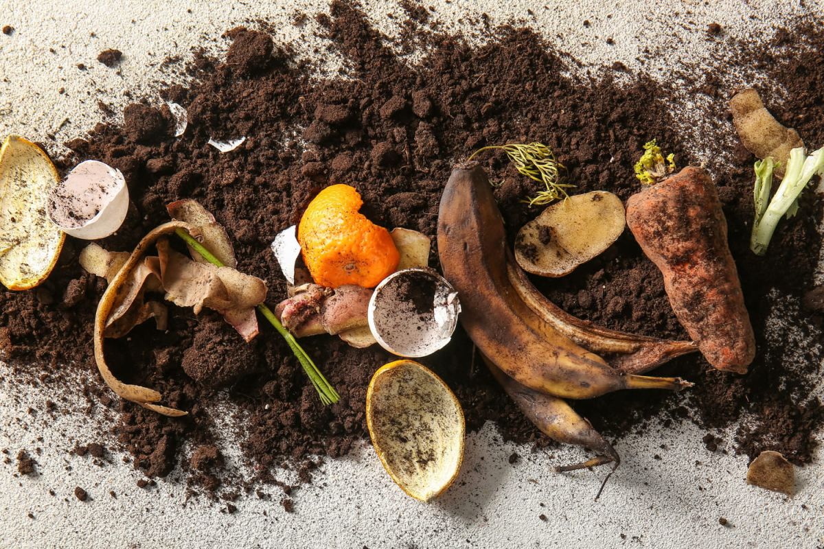 Composter en appartement : tout ce que vous devez savoir