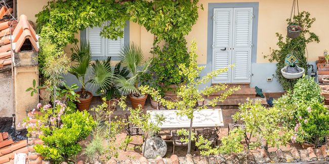 Transformez votre terrasse en un mini-jardin enchanteur