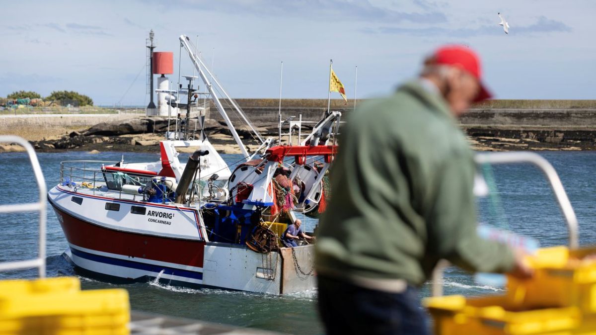 Le cri d'alarme des pêcheurs : moderniser la flotte pour un avenir durable