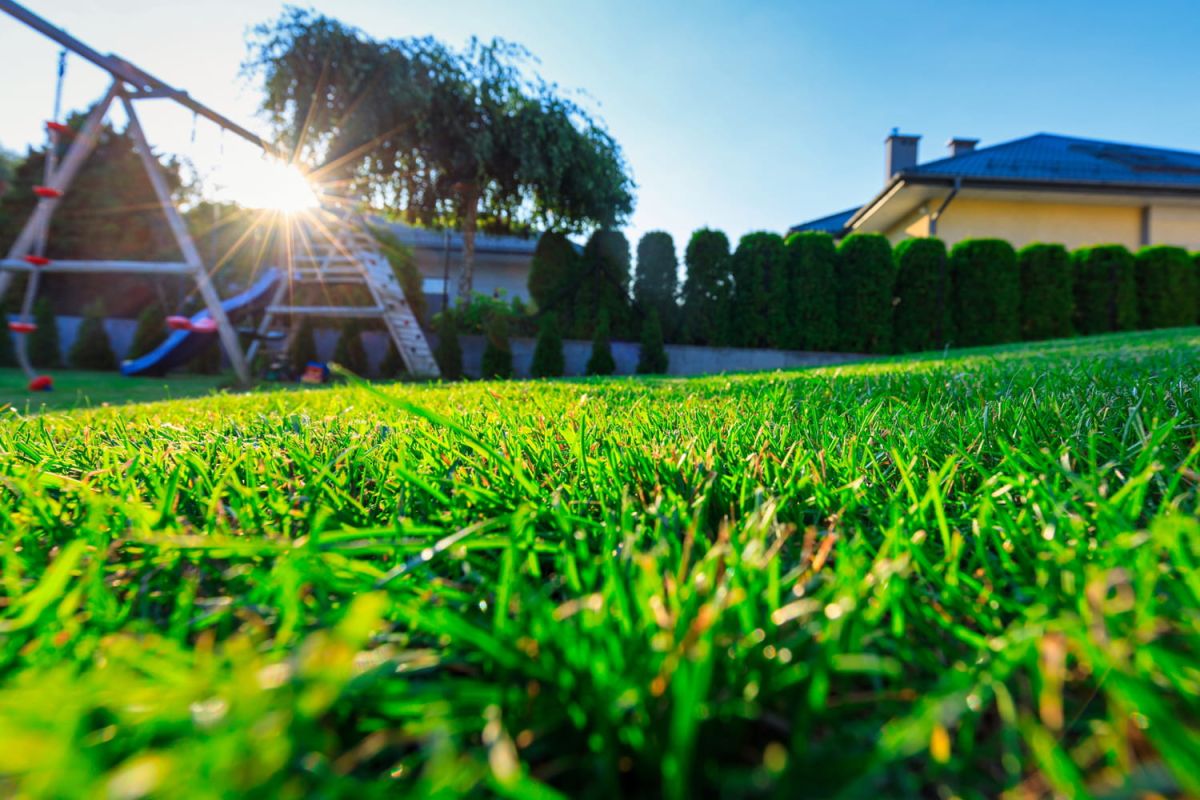 Cet équipement de jardin bientôt interdit pour protéger l'environnement