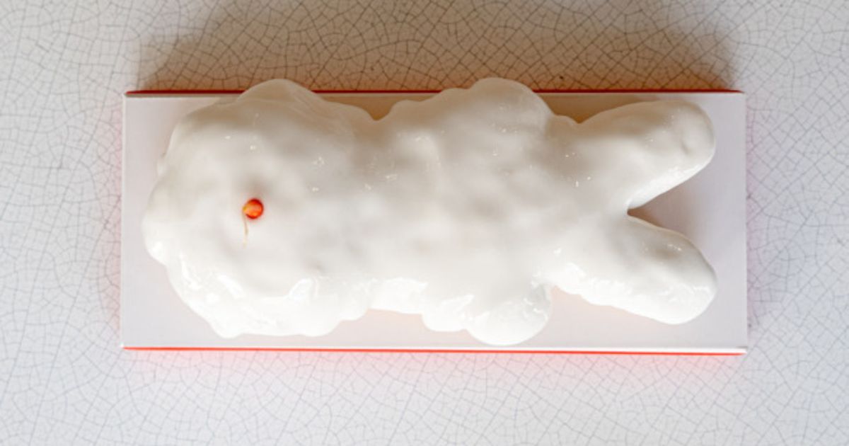 la bûche de noël de cédric grolet : entre moqueries et déception