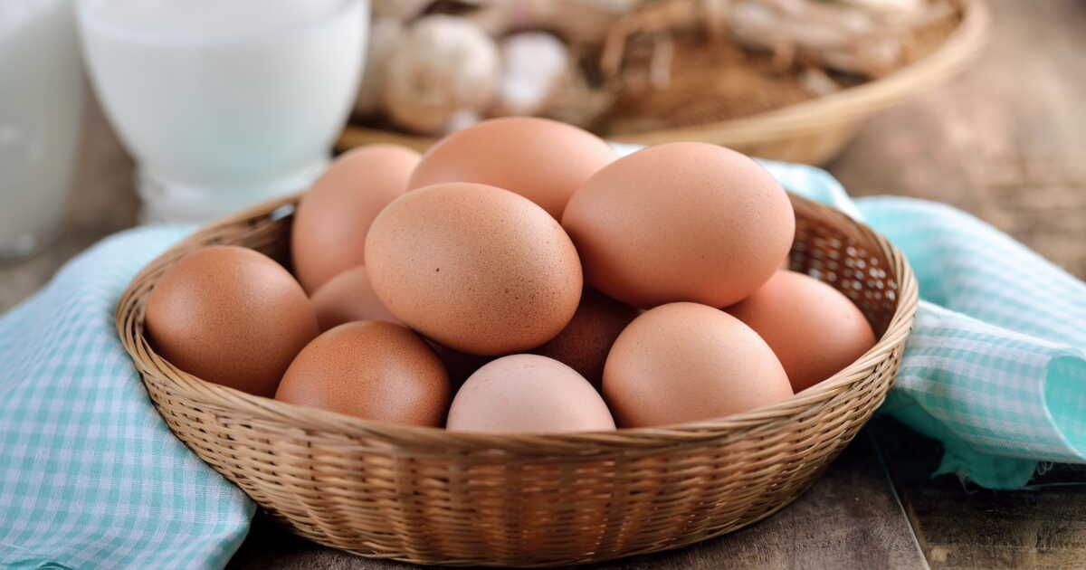 Les secrets pour consommer des œufs en toute sécurité