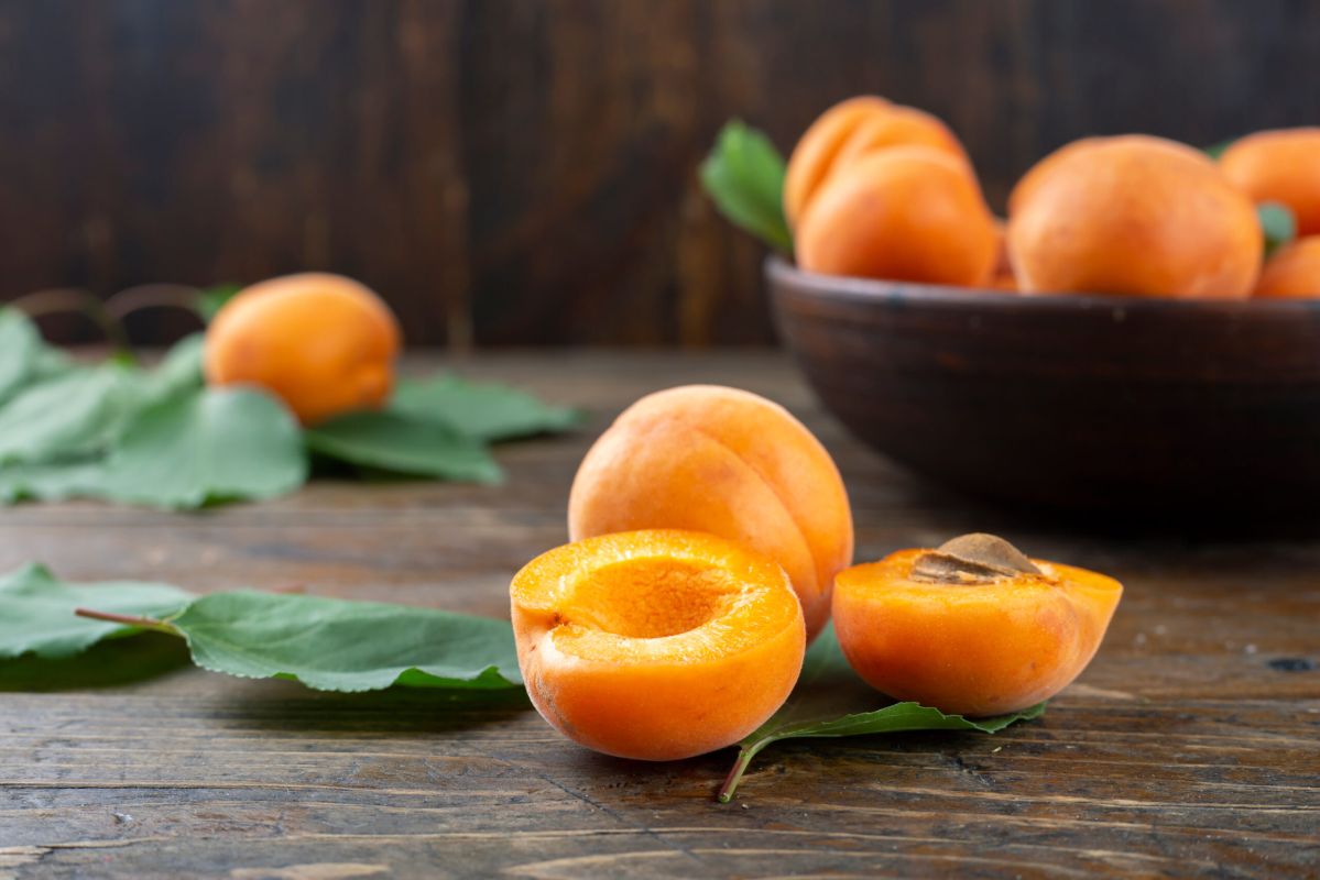 12 recettes légères aux abricots qui vont vous séduire
