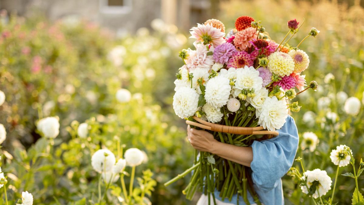 Les couleurs qui vont transformer vos jardins en 2024