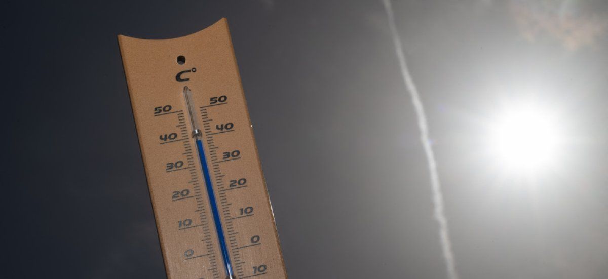 Canicule : la France en alerte rouge face aux températures records