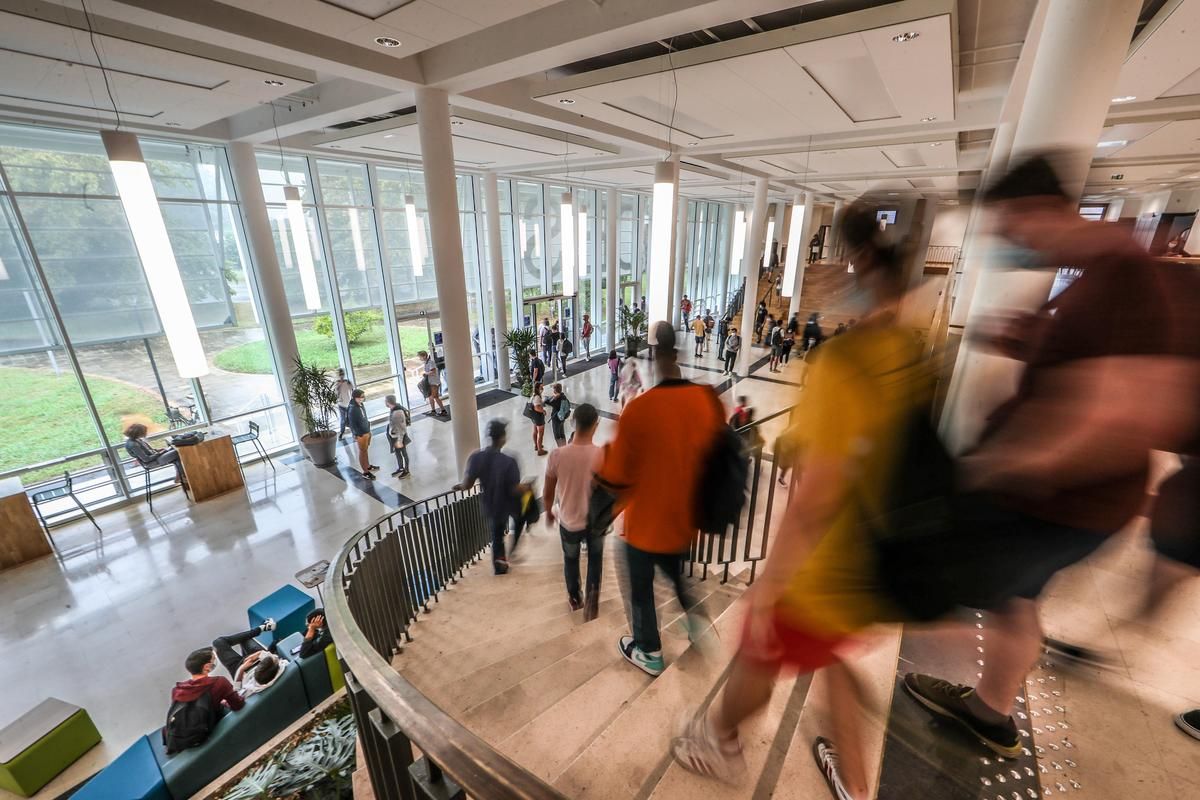Universités : vers un quintuplement des frais d'inscription pour garantir leur avenir ?