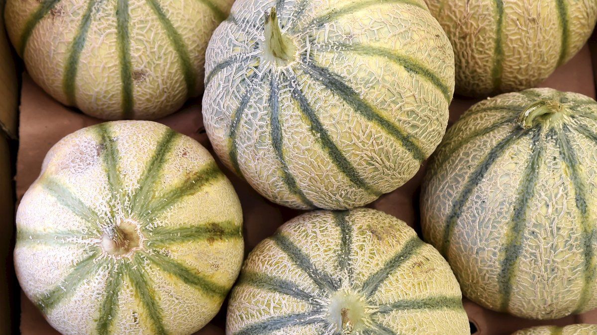 Des fruits et légumes gratuits pour réduire le gaspillage alimentaire dans le Gard