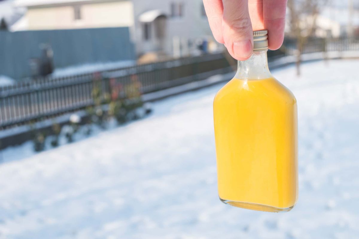Découvrez le ginger shot, l'immunité liquide pour passer un hiver en pleine forme