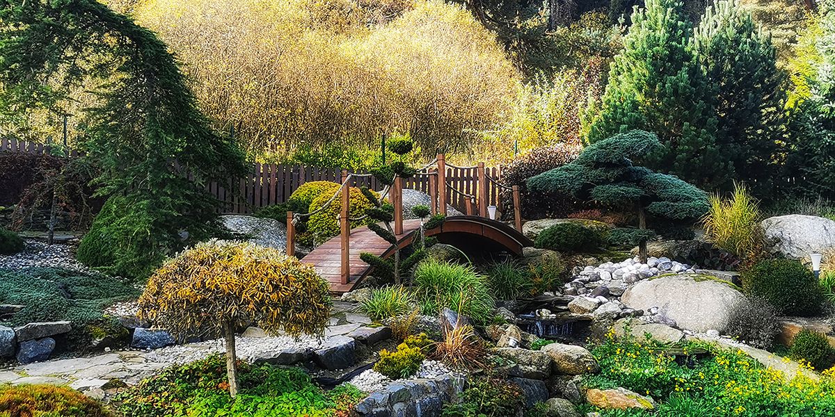 Le jardin chinois : un art de contemplation et d'harmonie