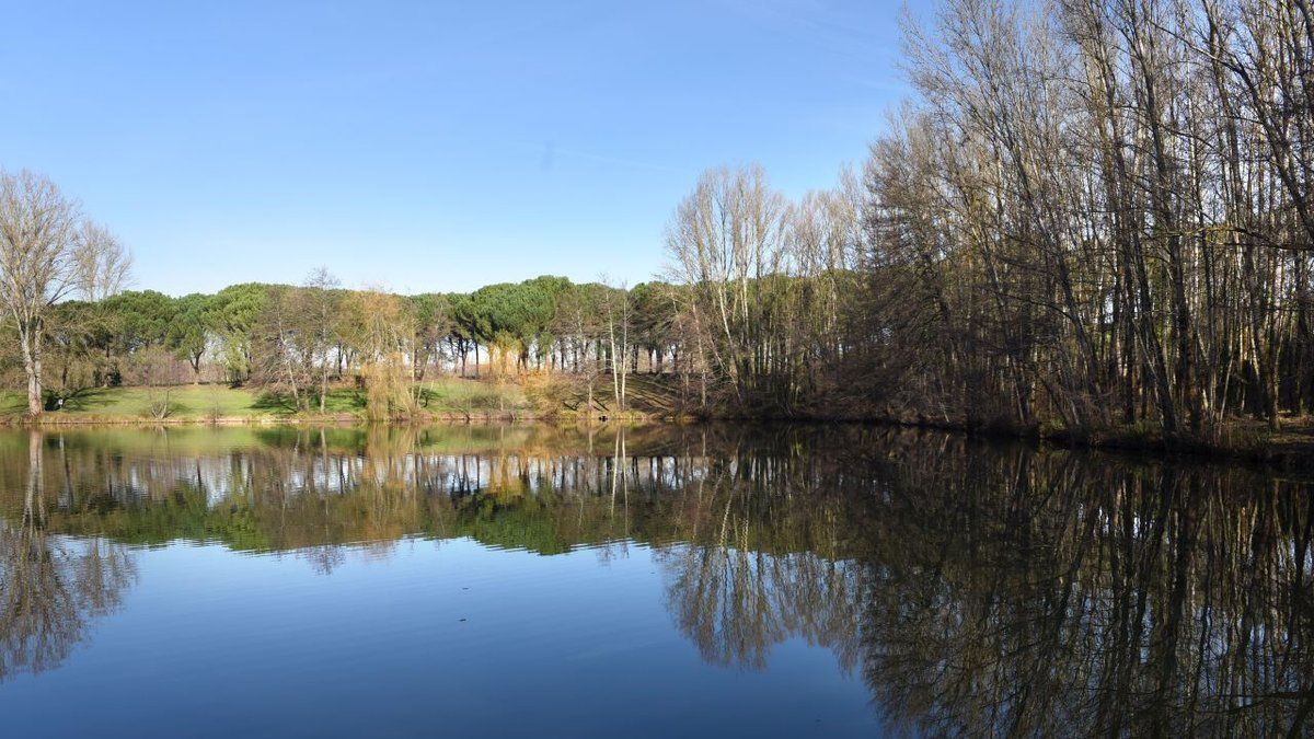 Un enfant de 10 ans retrouvé mort dans un étang : la piste du somnambulisme explorée