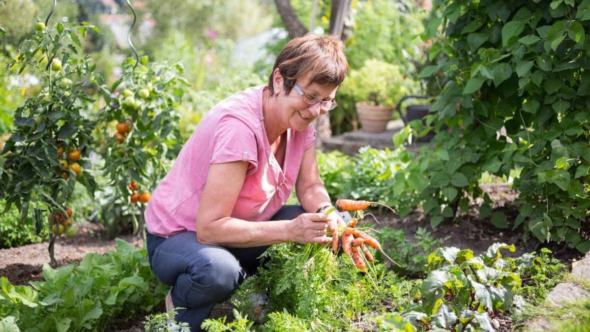 jardiner malin : astuces pour économiser au jardin