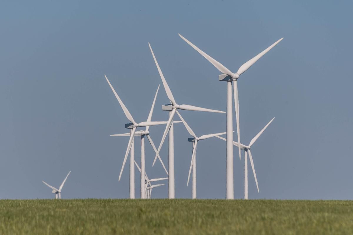 France s'engage vers la neutralité carbone en 2050 : découvrez la nouvelle stratégie